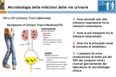 MM5 - Infezioni urinarie